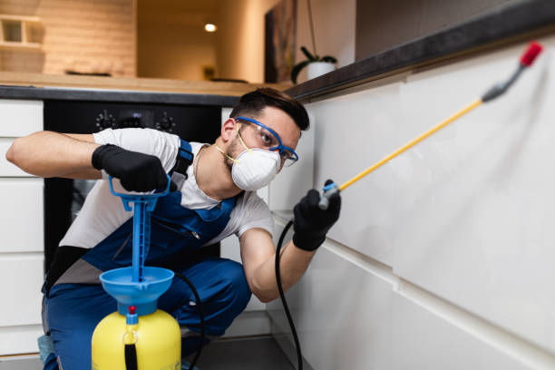 Best Termite Control Services  in El Cenizo, TX