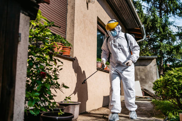Best Best Pest Control Companies  in El Cenizo, TX