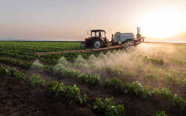 Best Mosquito Control Services  in El Cenizo, TX