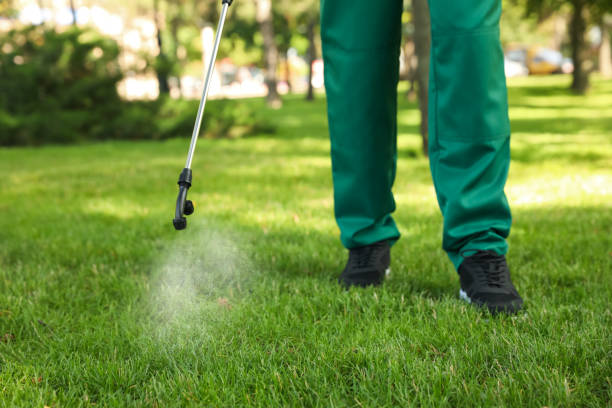 Best Pest Prevention Services  in El Cenizo, TX