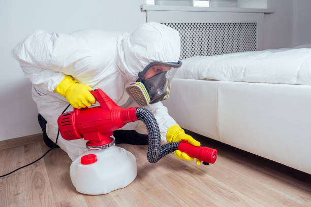Professional Pest Control in El Cenizo, TX