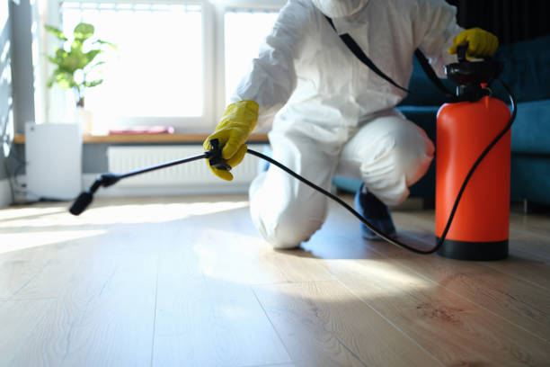 Best Flea Control Services  in El Cenizo, TX