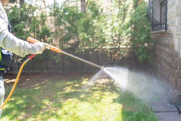 Best Local Pest Control Services  in El Cenizo, TX