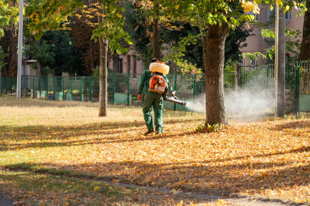 Best Pest Control Near Me  in El Cenizo, TX