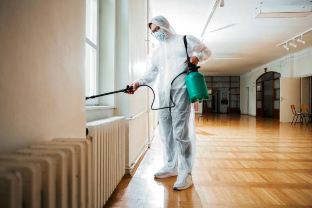 Best Cockroach Control Services  in El Cenizo, TX